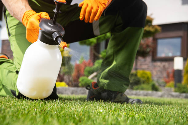 Best Wasp Removal Services  in Mundys Corner, PA