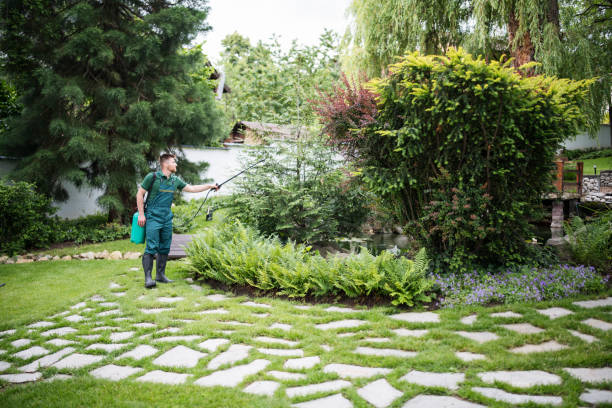 Best Ant Control Services  in Mundys Corner, PA