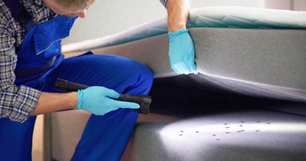 Best Affordable Pest Control Services  in Mundys Corner, PA